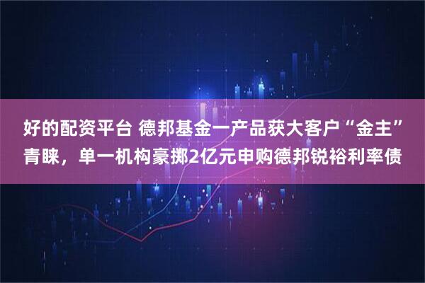 好的配资平台 德邦基金一产品获大客户“金主”青睐，单一机构豪掷2亿元申购德邦锐裕利率债